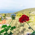 Tania By Guide Villa *