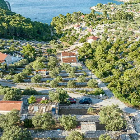 Tania By Guide Vela Luka